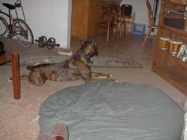 Cassius1.jpg (40694 bytes)