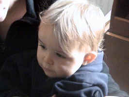 DSC00009.JPG (131348 bytes)