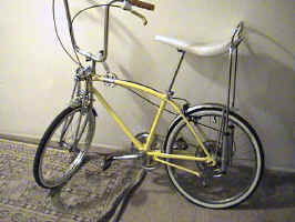 DSC00073.JPG (135803 bytes)