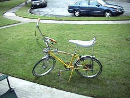 DSC00076.JPG (142075 bytes)