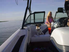 IM000540.JPG (331981 bytes)