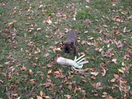 IM000585.JPG (418859 bytes)