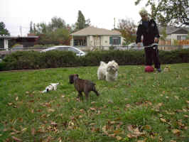 IM000601.JPG (386949 bytes)