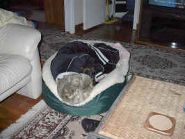 IM000606.JPG (474521 bytes)