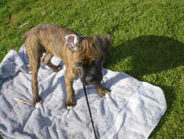 IM000639.JPG (395704 bytes)