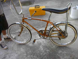 IM001116.JPG (492454 bytes)