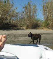 IMG_0831.jpg (545147 bytes)