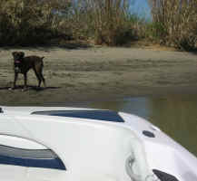 IMG_0833.jpg (563194 bytes)