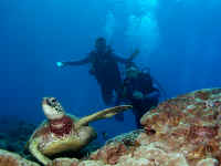 P1010057a.jpg (281704 bytes)