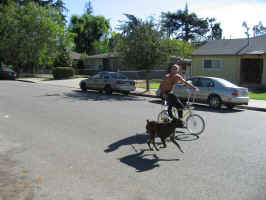 cassiusandbike2.jpg (2041665 bytes)