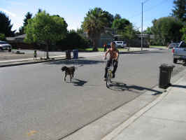 cassiusandbike3.jpg (1888862 bytes)