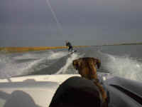 wakeboard.jpg (216320 bytes)